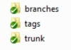 Subversion default project structure : branches,tags,trunk